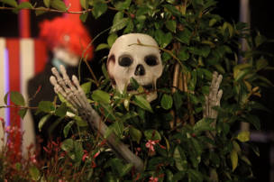 Halloween Party 2024