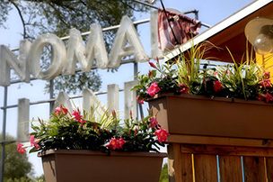 Tomat-Fest & Future Garden 2024